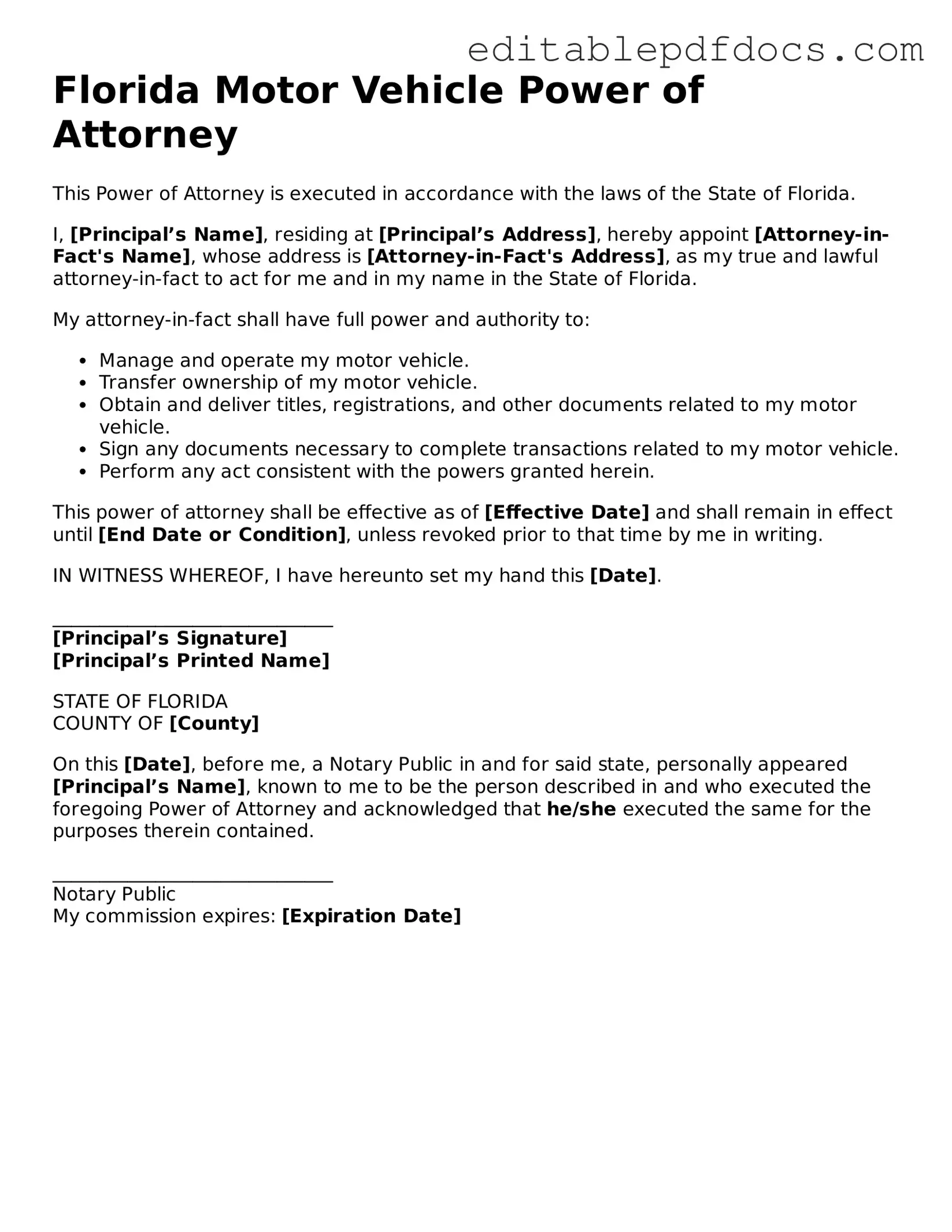  Motor Vehicle Power of Attorney Document for Florida