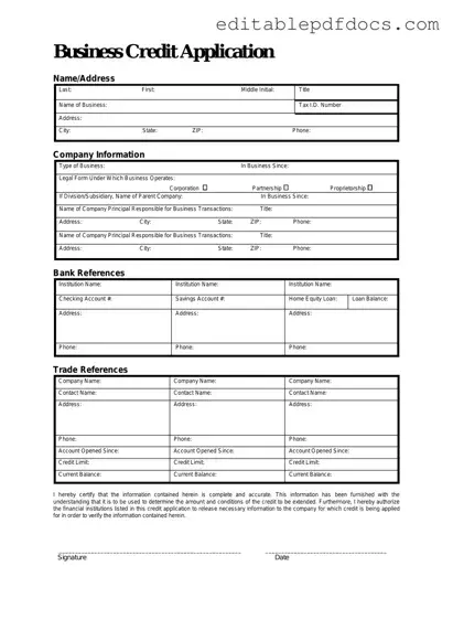 Fill a Valid Business Credit Application Template