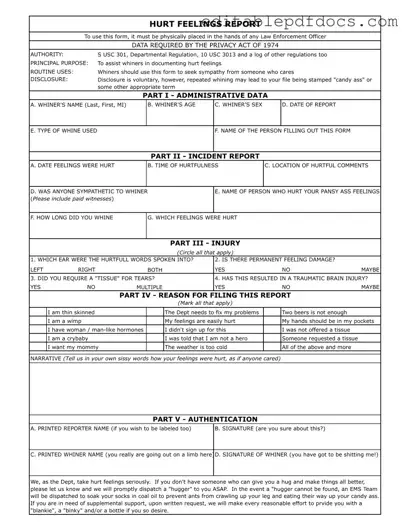 Fill a Valid Hurt Feelings Report Template