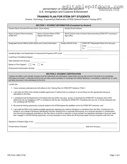 Fill a Valid ICE I-983 Template